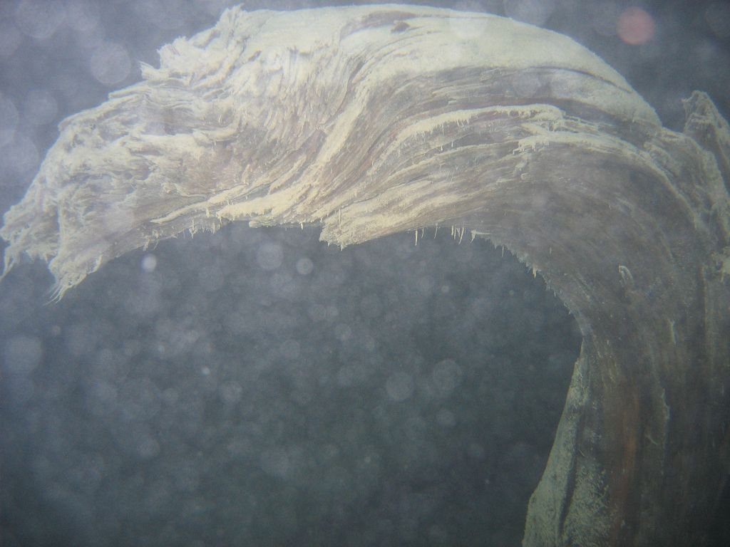 Abtauchen und Walchensee 2010
