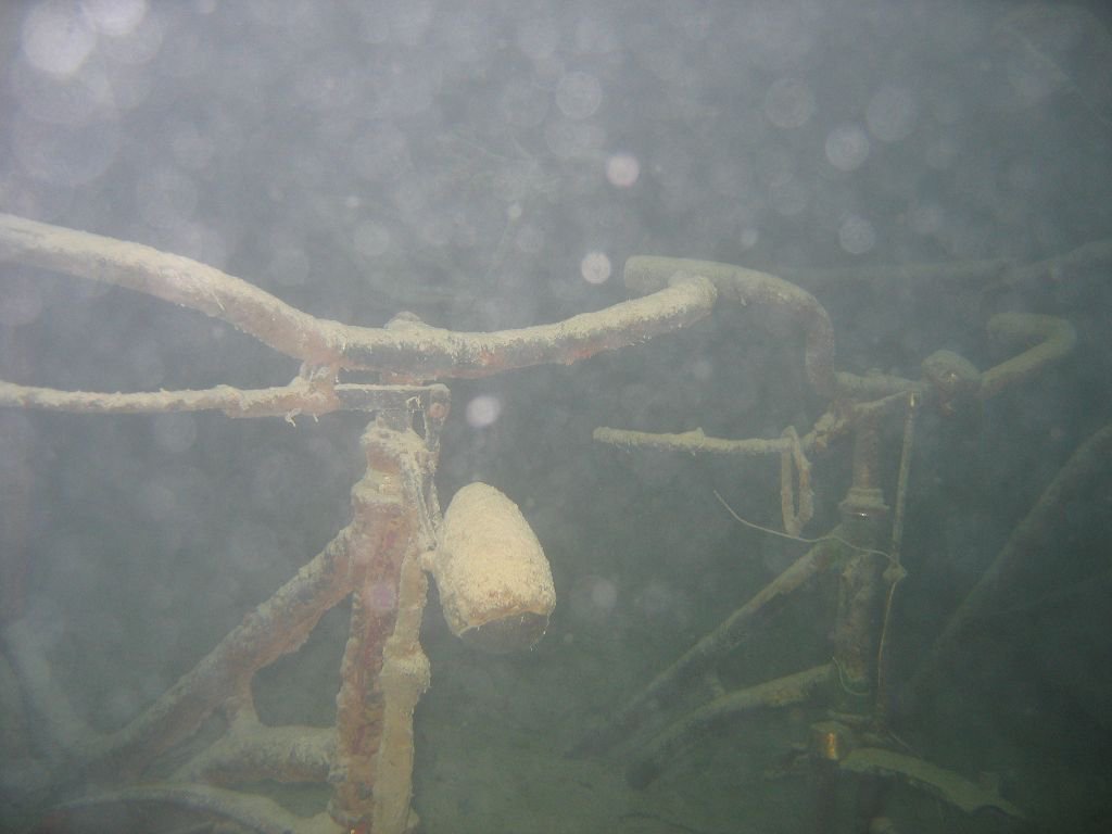 Abtauchen und Walchensee 2010